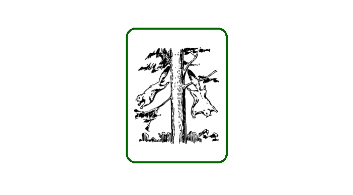 animals coloring pages